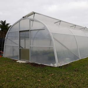 Wholesale Film Plastic Glass Single Span Greenhouse High Tunnel Gray Steel from china suppliers