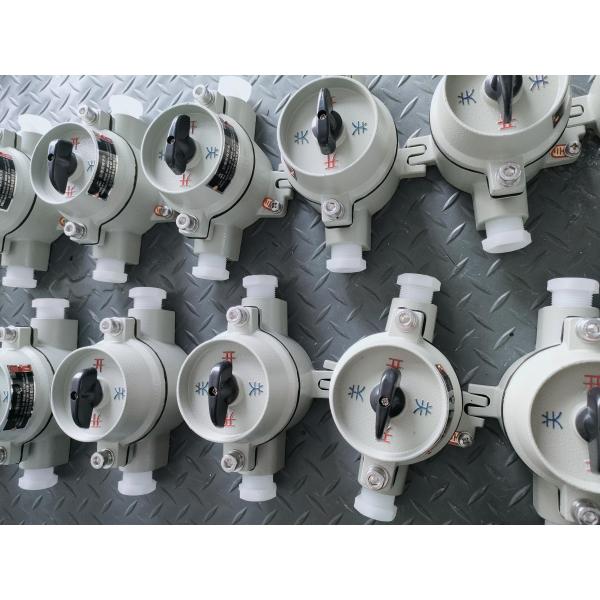 Waterproof WF2 220/380VAC Explosion Proof Switch IP65