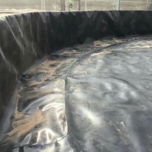 Industrial Design Style Hdpe Geomembrane Pond Liner with Waterproof Impermeable