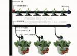 Agricultural PE drip irrigation pipe with high quality low price,Inner Flat