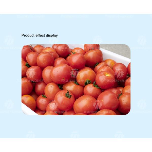 2.5KW Vegetable Parallel Roller Cleaning Machine High Pressure Spray Fruit Washing Machine