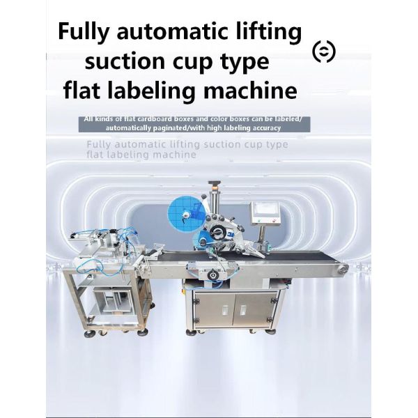 Manufacturer Fully Automatic Lift-and-Labeling Machine CH-602F for Food Self-Sealing Bags and PE Plastic Bags