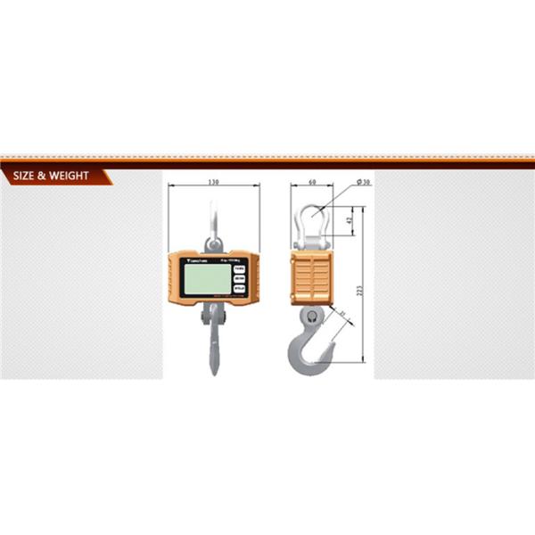 Customizable OEM Collaboration 300kg 0.1kg Digital LCD Display Mini Portable Crane Scale ODM Support