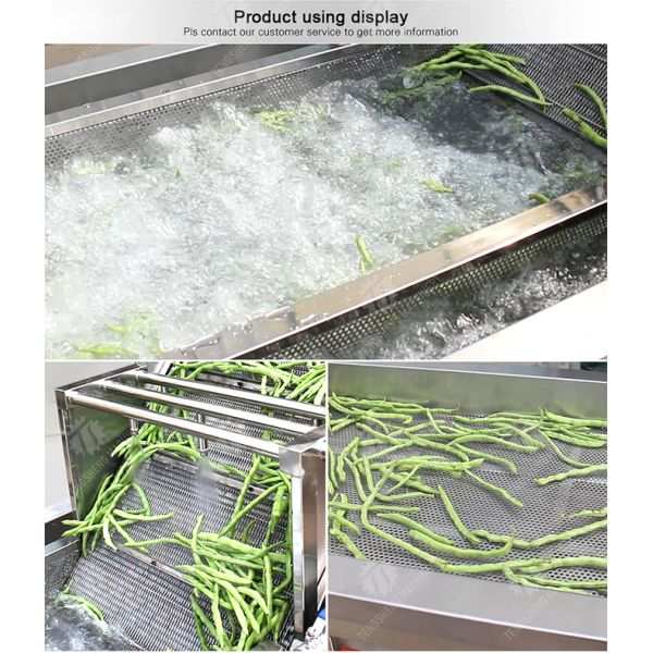 1000KG/H Fruit And Vegetable Processing Line Bubble Washing And Vibrating Drying