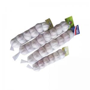 Wholesale Industrial Drawstring Sinbom Plastic Garlic Mesh Bag for Agriculture and Farmin from china suppliers
