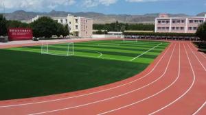 Wholesale International Standard PU Athletic Rubber Running Track 13mm from china suppliers
