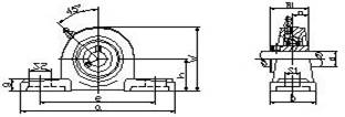 Pillow Block Bearings UCP317 With Cast Iron Pillow Blocks For Electricity Generators
