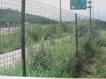Plastic coated steel pipe Welded Wire Mesh Fence 0.5m - 5.0m Width