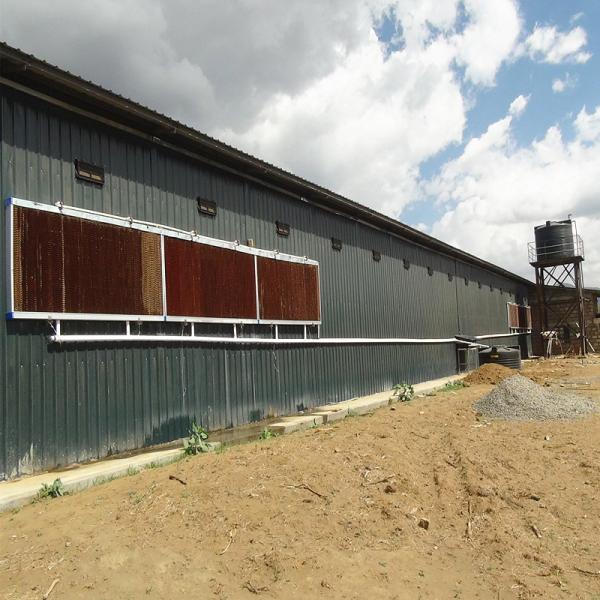 Hot Dip Galvanized Steel Fully Automatic Vertical H Type Multitier Chicken Egg Laying Cage