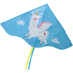Wholesale Single Line Pvc Fabric bag of Delta Wing Kite With Polyester Material from china suppliers