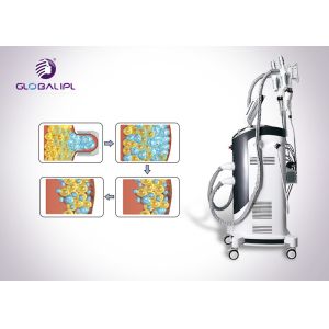 Rf Cryolipolysis Machine Body Shaping Fat Freezing Machine ISO13485 1000W