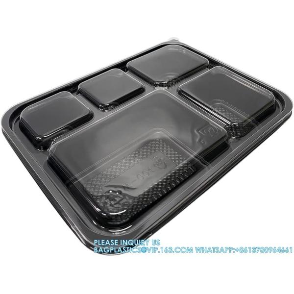 5 Compartment Meal Prep Containers With Lids - Food Bento Boxes Stackable Reusable Disposable Microwave