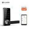 Tuya Biometric Fingerprint Door Lock Handle Digital Keyless Smart Door Lock for sale