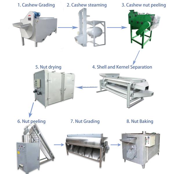 Roasting Dryer Nuts Processing Machine Peeling Cashew Grading Machine