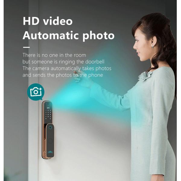 Face Recognition Fingerprint Door Lock Gold Biometric Gate Lock