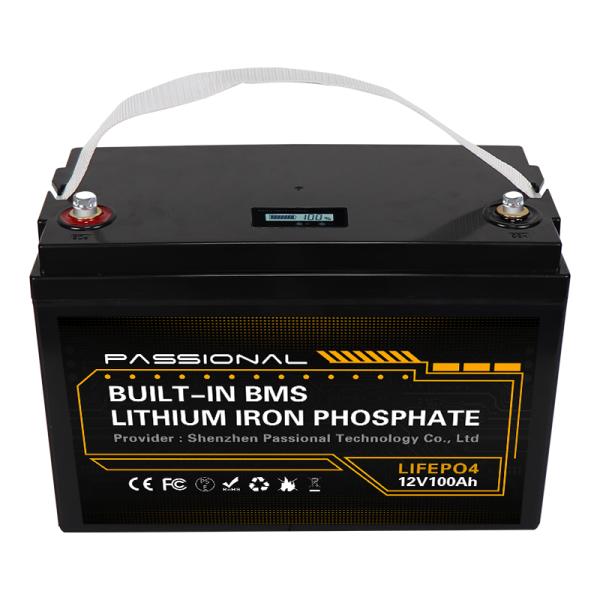 Lead Acid 12.8 V 100ah Lifepo4 Battery , BMS Lithium Ion Phosphate Battery