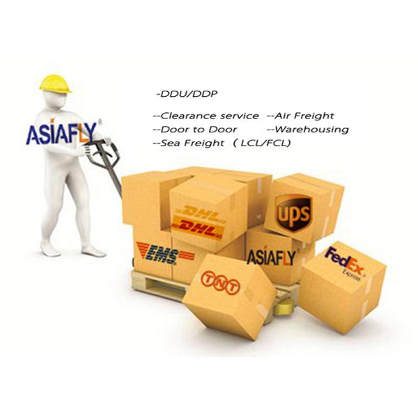 Door To Door International Ocean Freight Forwarder China To Europe