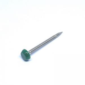 China Polished SS316 Plastic Round Cap Roofing Nails With Annular Ring Shank on sale