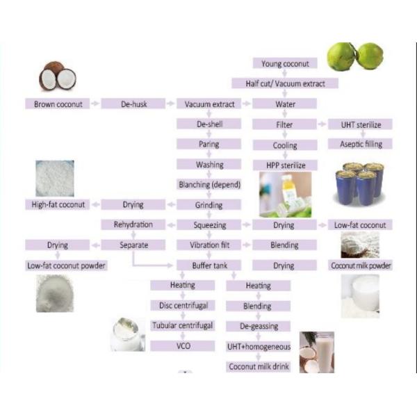 Coconut Processing Machine|Turn Key Customize 1-20T/h Coconut Water Production Line