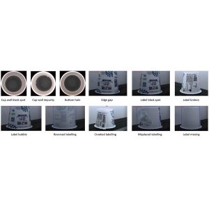 ODM Machine Vision Quality Control Automated Visual Inspection Equipment IML