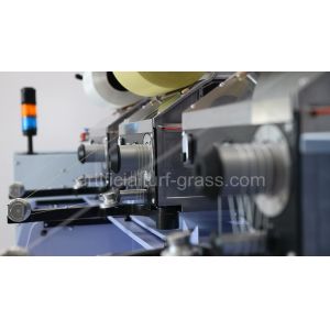 All Victory Grass (Guangzhou) Co., Ltd