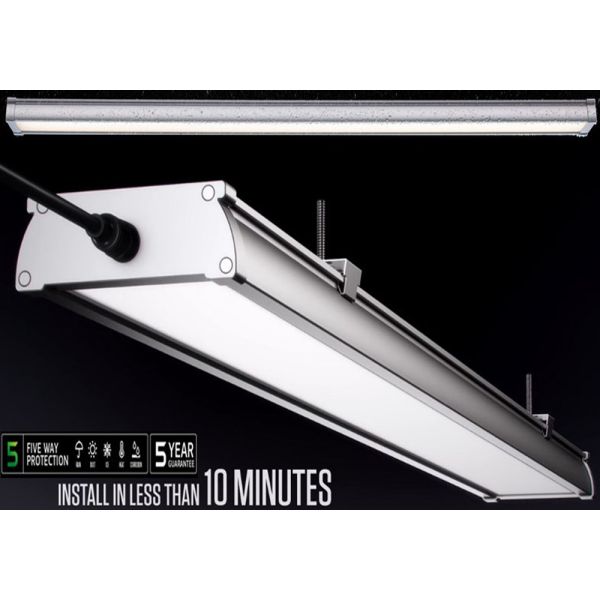 IK10 5ft 3CCT Switchable LED Hanging Light Tri Proof Light for Industrial and Commercial Use