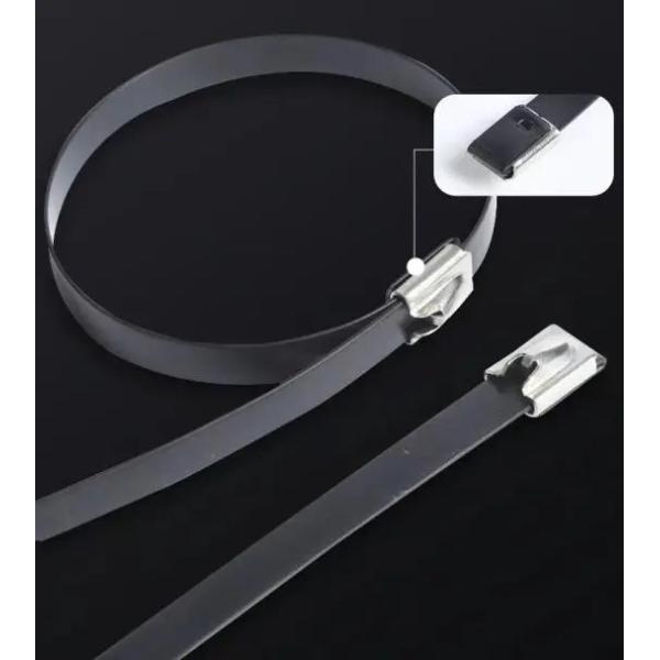 Adjustable 304SS Stainless Steel Cable Ties 300mm OEM
