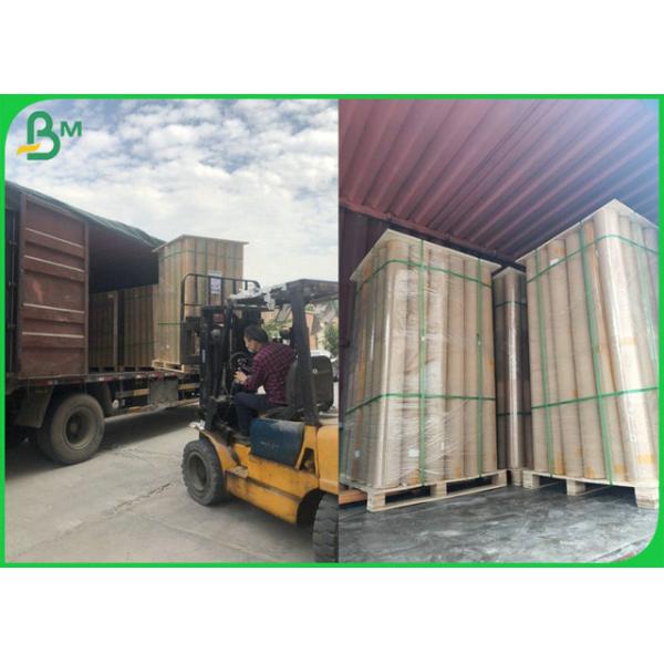 24" x 150 feet Wide Format White Paper Roll 3" Core For Inkjet Printing 24" X 150 Feet Wide Format White Paper Roll 3" Core For Inkjet Printing