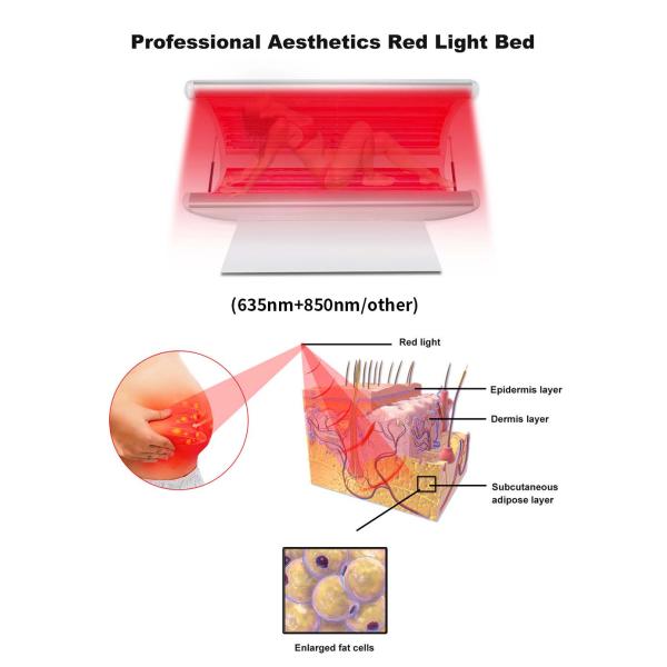 Infrared Red Led Light Therapy Pod Full Body Pain Reduce