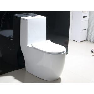 Dual-Flush Single Piece Toilet with Scratch Resistant Glaze
