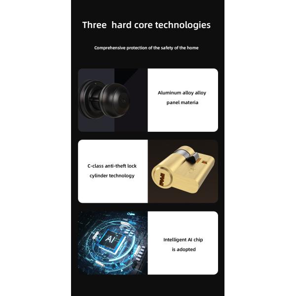 Biometric Fingerprint Door Knob Smart Lock Black Bluetooth House Lock