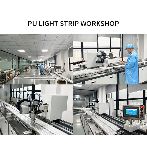 Outdoor Swimming Pool IP68 PU Neon Flex Light DC12V / 24V Waterproof LED Neon Flex Strip