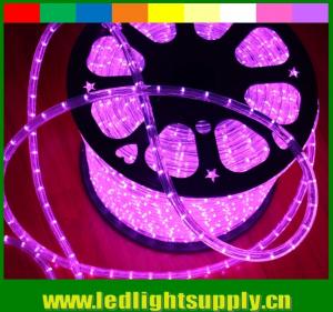 China solar powered led flexible rope lights 2 wire 12/24v multi color duralights on sale