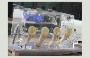 China Coin Cell Making Vacuum Glove Box Without Oxygen Water Air Purification on sale