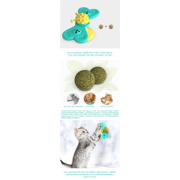 Pet Products Cat Toothbrush Multifunctional Interactive Windmill Catnip Toy