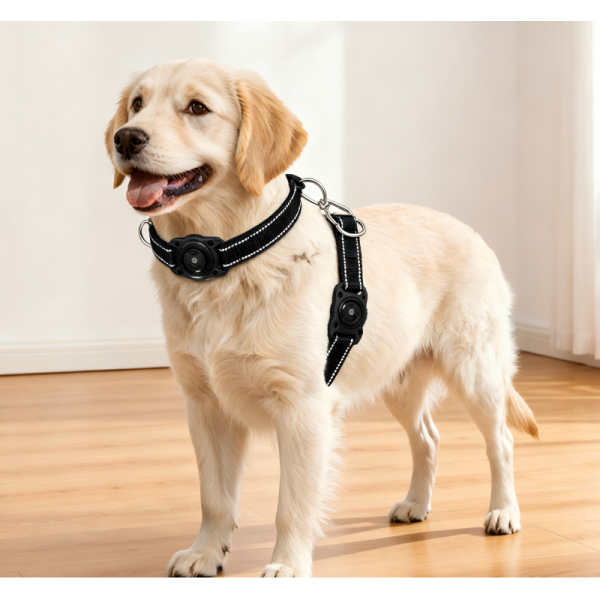Long Range GPS Dog Collar Real Time Tracking Waterproof Reflective Soft Padded for Large Dogs