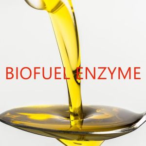 Wholesale KDN Biodiesel Enzyme Advances In Enzyme Technology For Renewable Energy Solutions from china suppliers