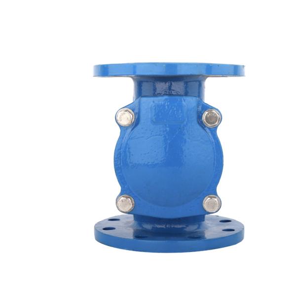 Ductile Nodular Cast Iron Check Valve DN50 Swing Wafer Rubber Disc Check Valve