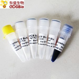 Wholesale GDSBio Taq DNA Polymerase For PCR Master Mix from china suppliers