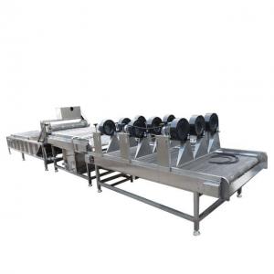 400-600kg Fruit Vegetable Processing Machine Automatic  Fruit Drying And Sorting