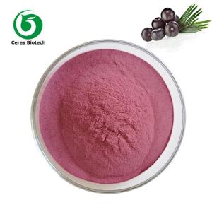 China Organic Fruit Extract Acai Berry Juice Powder Food Grade 90% on sale
