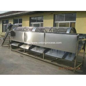 Wholesale Automatic Onion Water Washing and Grader Line from china suppliers