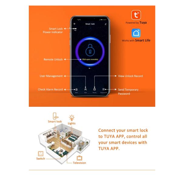 Intelligent 30mm Smart Fingerprint Door Lock Keyless Biometric FCC