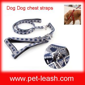 Big dogs special chest straps + leash QT-0087