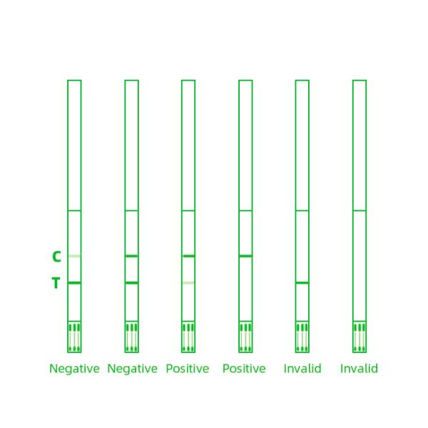 Deoxynivalenol Rapid Mycotoxin Aflatoxin Rapid Test Kit 1000pbb For Corn 96 Tests/Kit