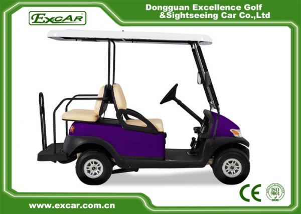 Quality EXCAR Four Wheel Battery Operated Golf Buggy Mini Type Purple Color for sale