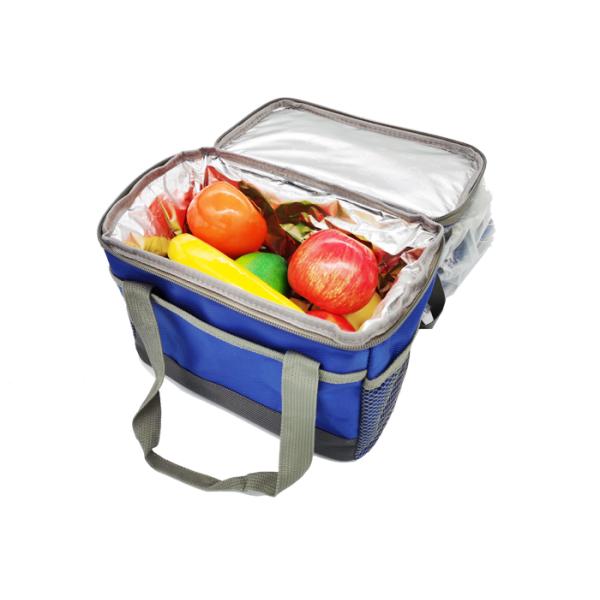 Large Insulated 25 Litre Chilled Food Packaging Collapsible Cooler Bag