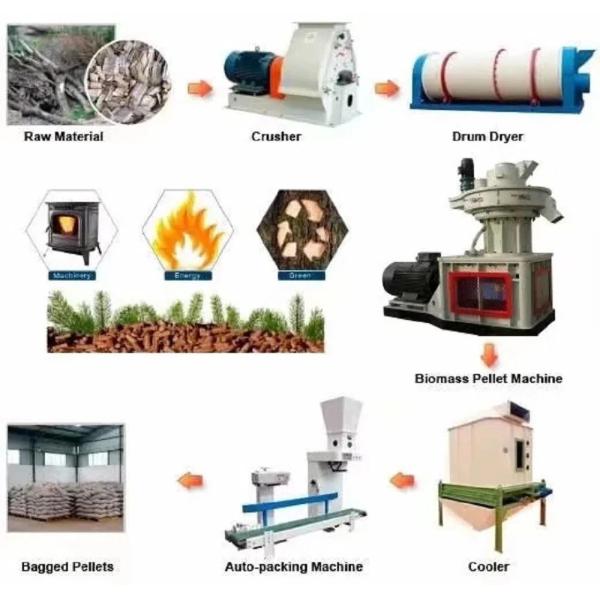 Fuel Eucalyptus Wood Pellets Machine Vertical Ring Die 3t/ H