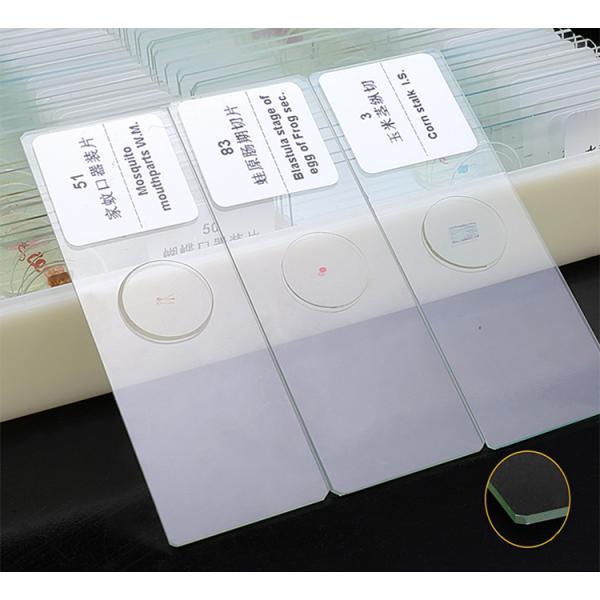 Prepared Higher Education 100pcs Microscope Slides Set For Students
