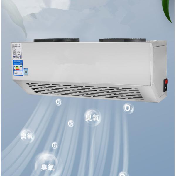 Food Workshop Industrial Ozone Generator Air Sterilizer 20g